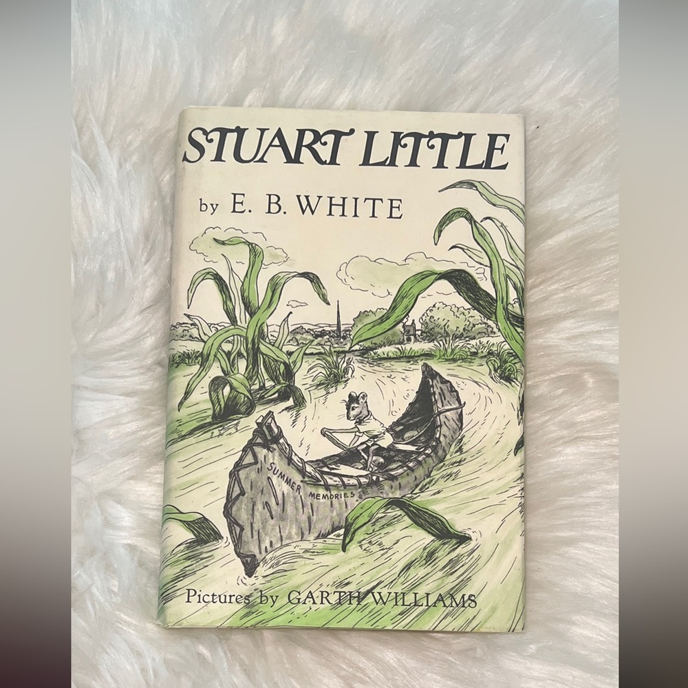 Stuart Little 1973 Edition Hardcover Book Mouse Summer Memories Drain Bed Home